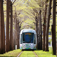 トトロトンネル